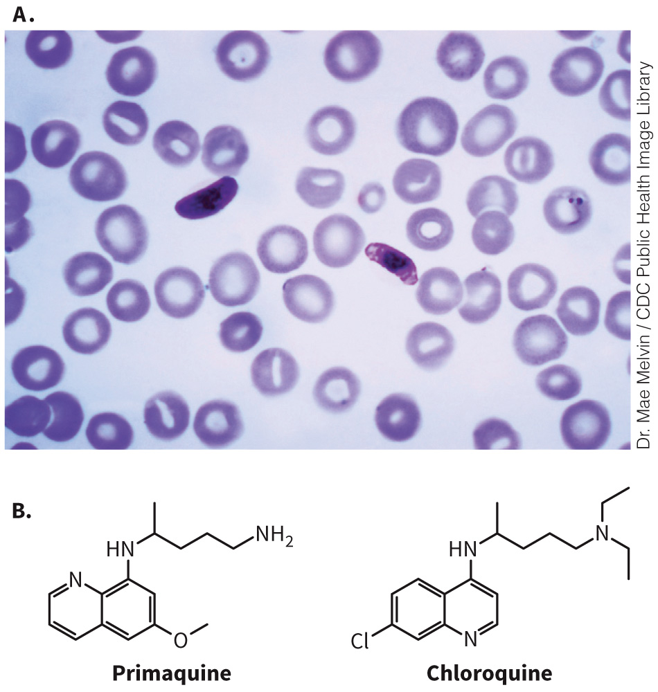 biol-4320-materials/Course Materials/_assets/tan1e_ch_08_lecture/image-015.jpg358