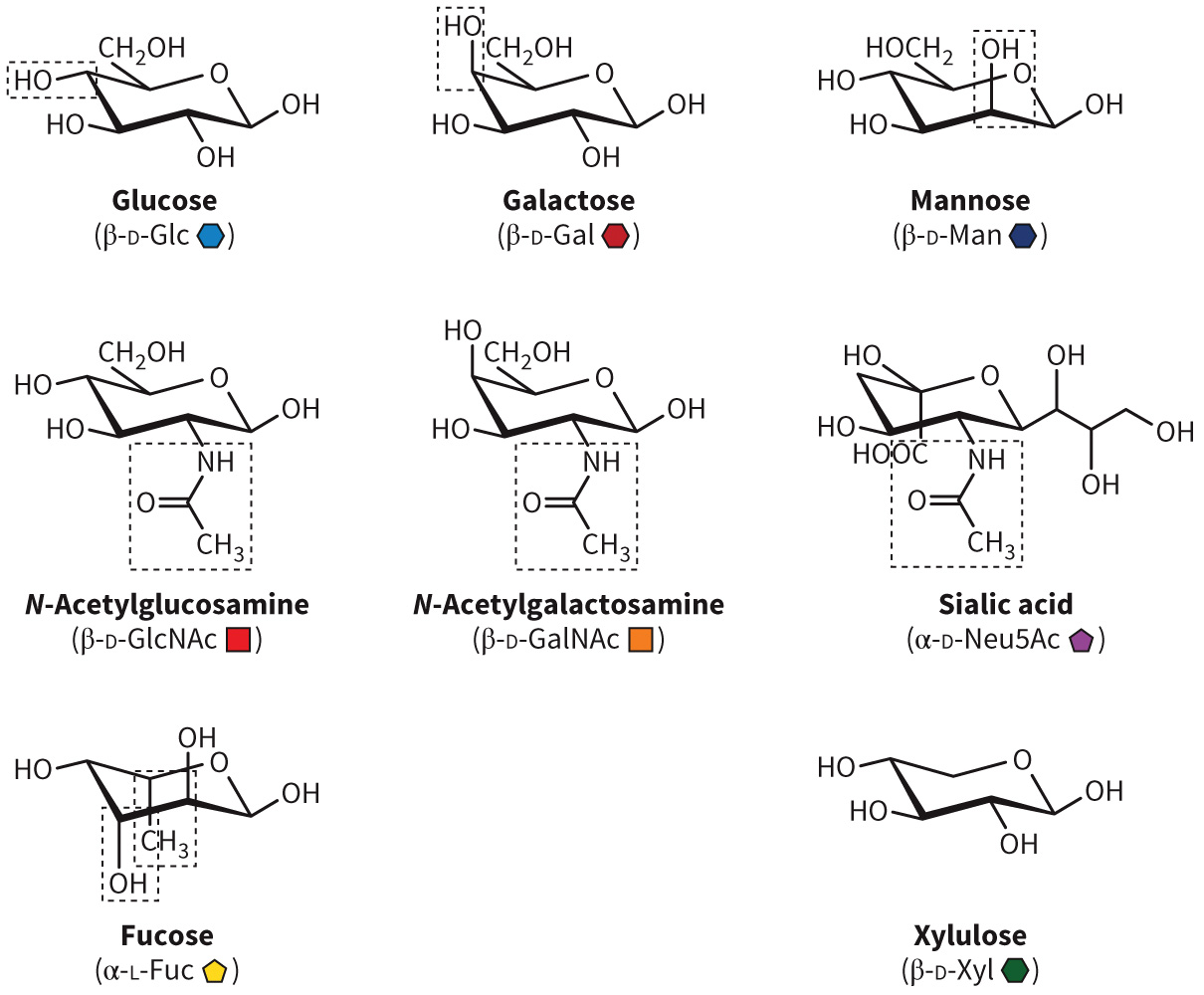 biol-4320-materials/Course Materials/_assets/tan1e_ch_08_lecture/image-018.jpg418