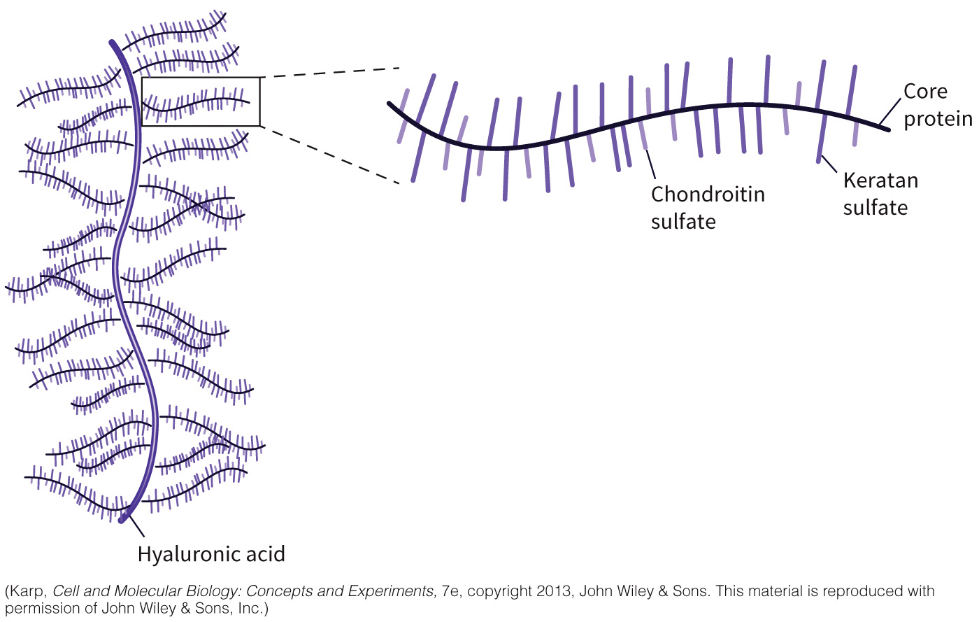 biol-4320-materials/Course Materials/_assets/tan1e_ch_08_lecture/image-023.jpg