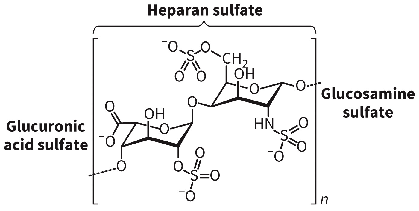 biol-4320-materials/Course Materials/_assets/tan1e_ch_08_lecture/image-024.jpg429