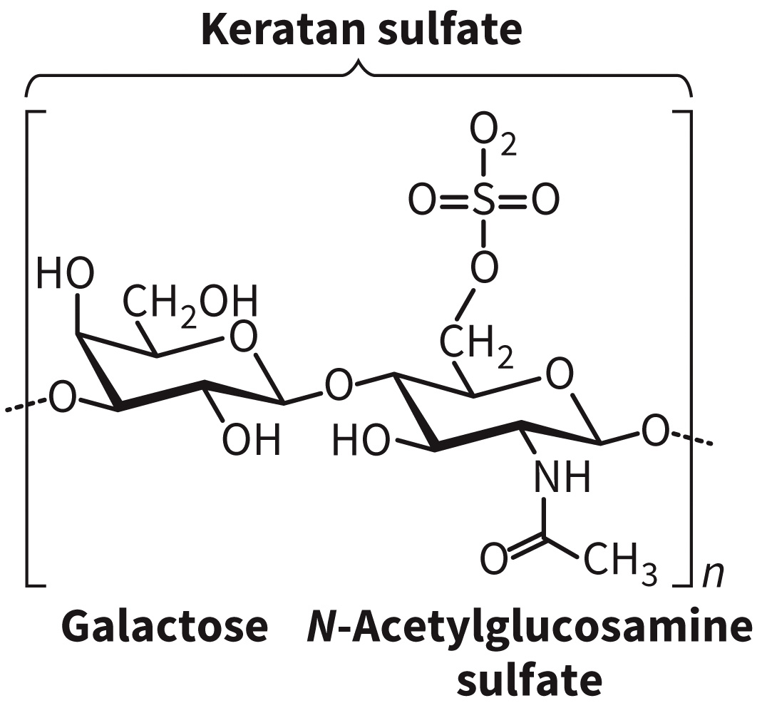 biol-4320-materials/Course Materials/_assets/tan1e_ch_08_lecture/image-026.jpg311