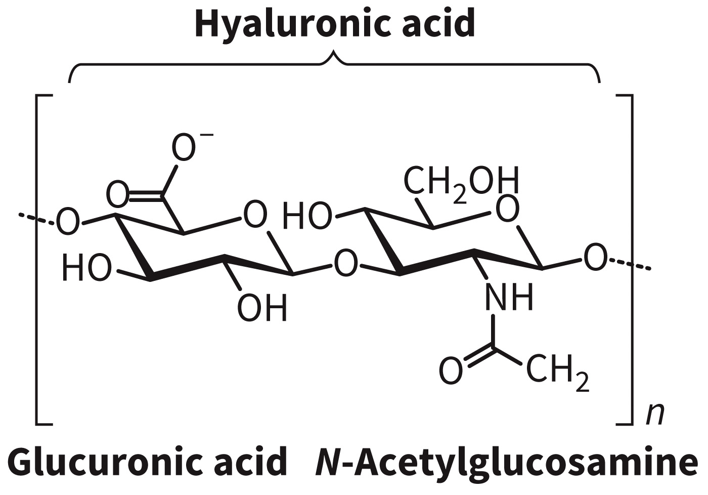 biol-4320-materials/Course Materials/_assets/tan1e_ch_08_lecture/image-027.jpg323
