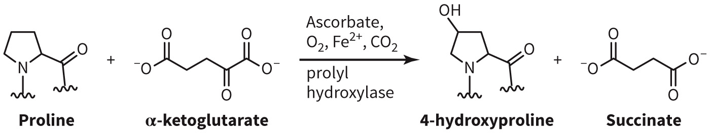 biol-4320-materials/Course Materials/_assets/tan1e_ch_08_lecture/image-031.jpg